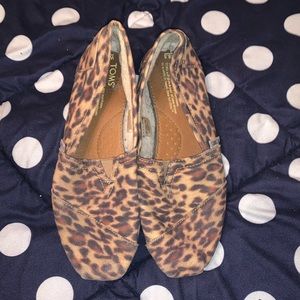 CHEETAH TOMS
